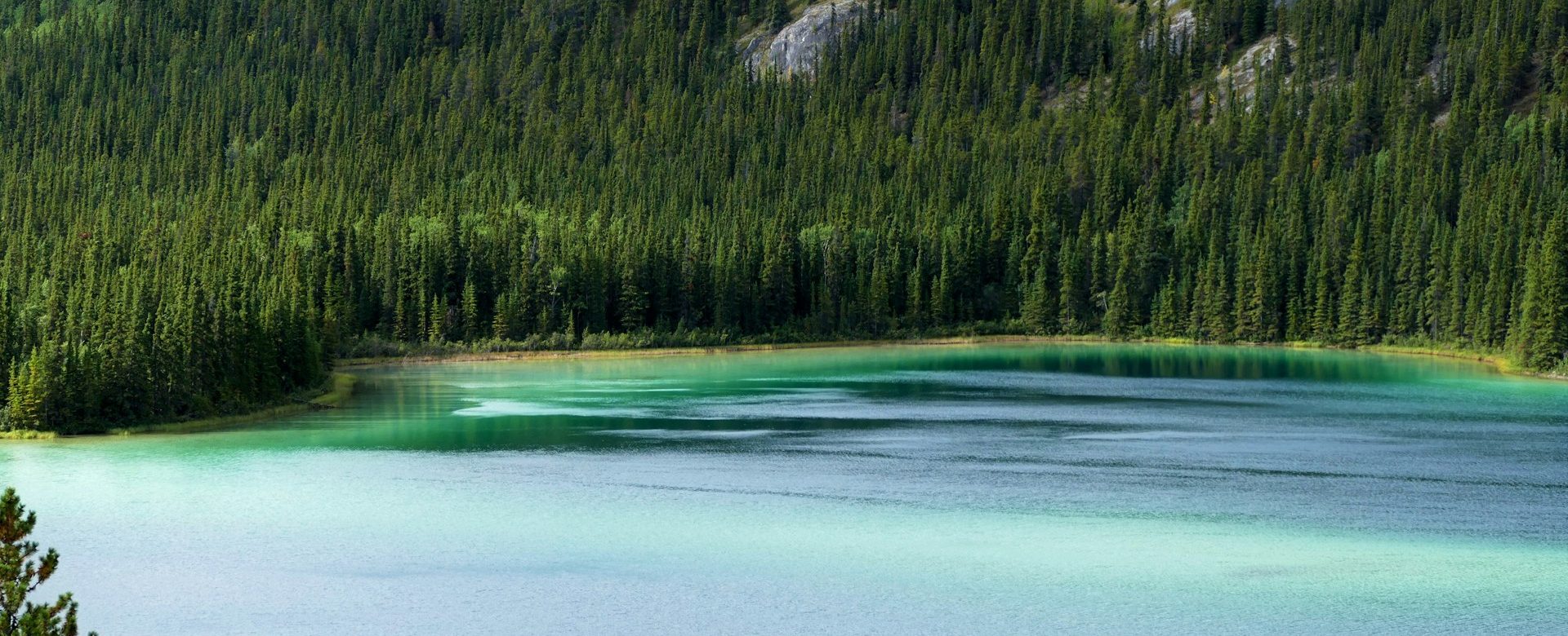 Canada-Northern Lights Yukon