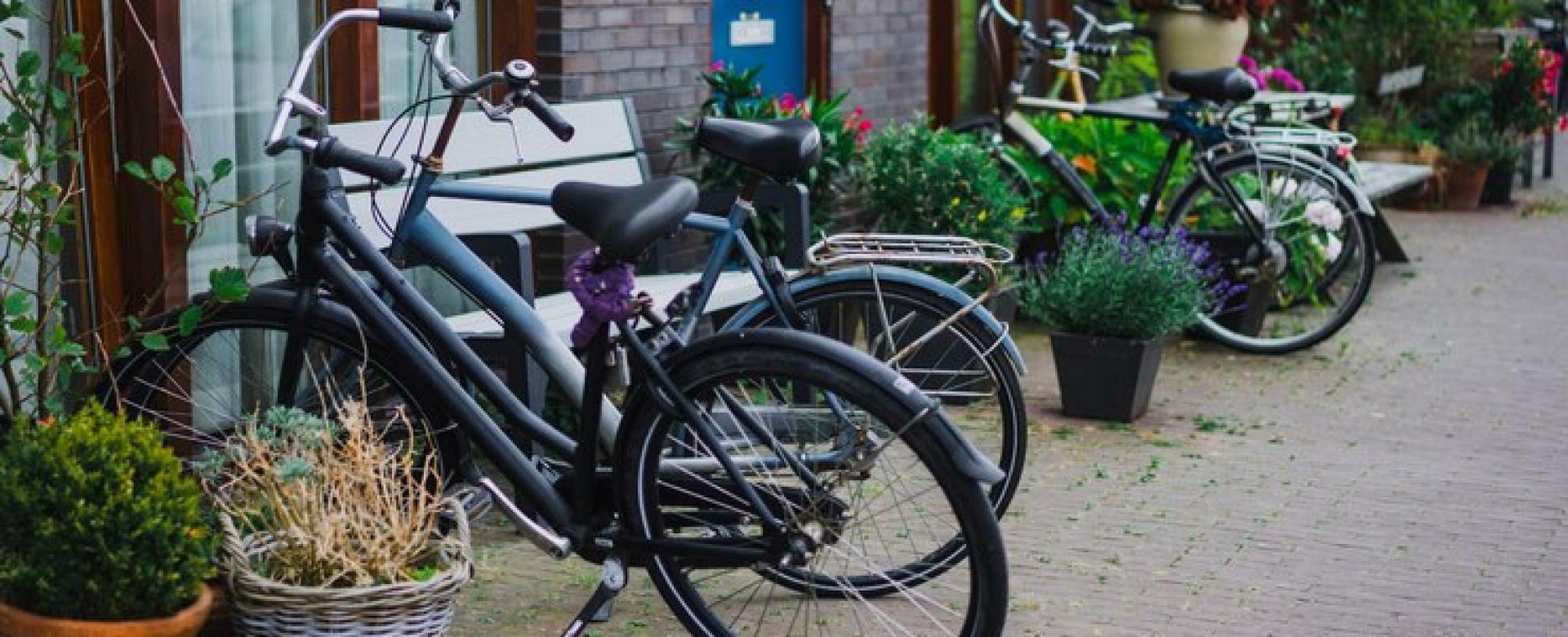 cozy-courtyards-amsterdam-benches-bicycles-flowers-tubs_1321-1760