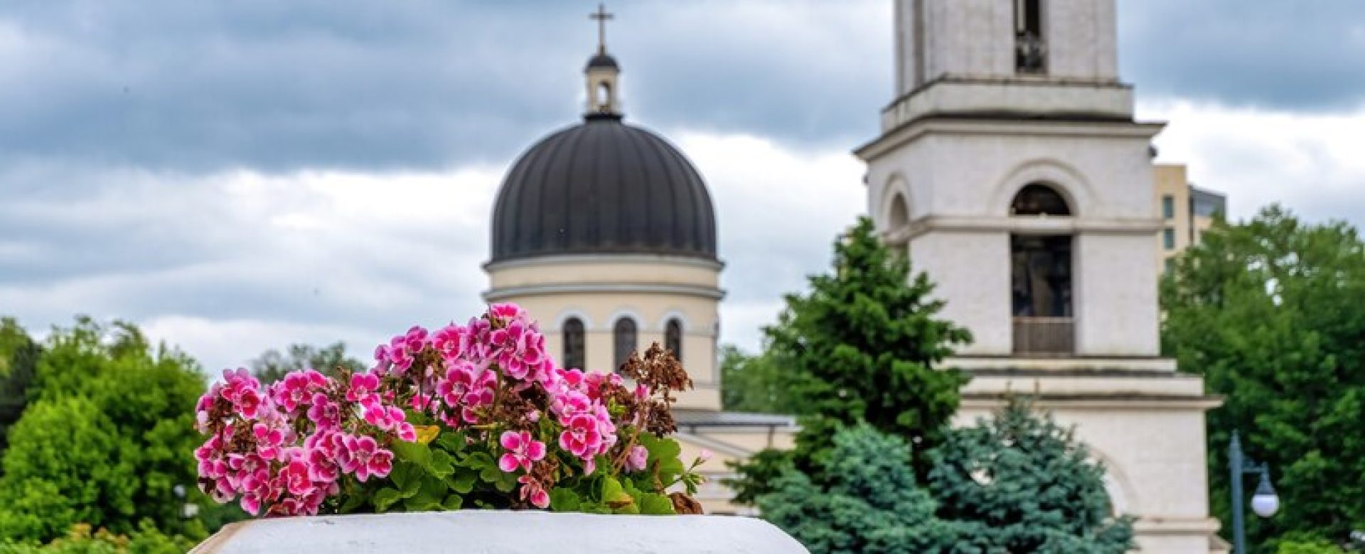 flowerpot-with-pink-flowers-center-chisinau-moldova_1268-18337