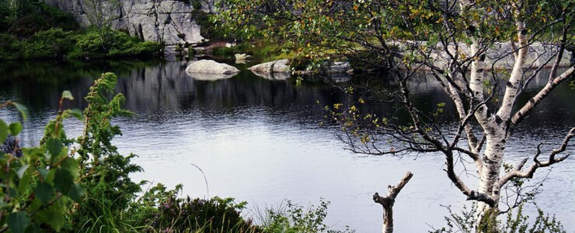 lake-with-reflection-trees-surrounded-by-rock-formations-preikestolen-norway_181624-13823