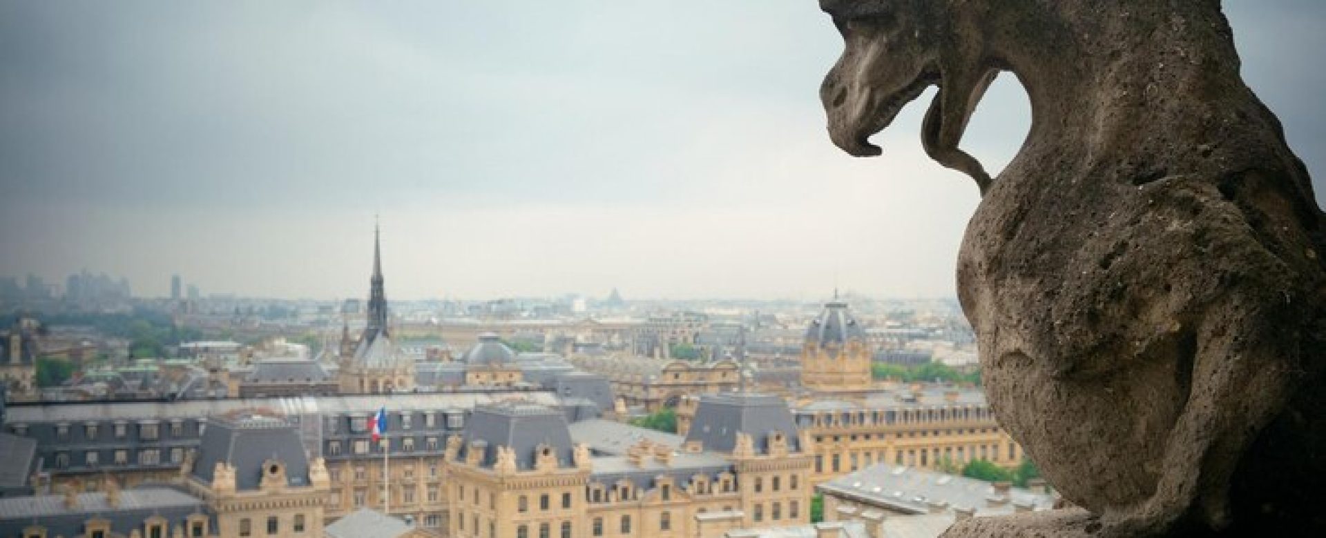 paris-rooftop-view-from-notre-dame-cathedral_649448-4961