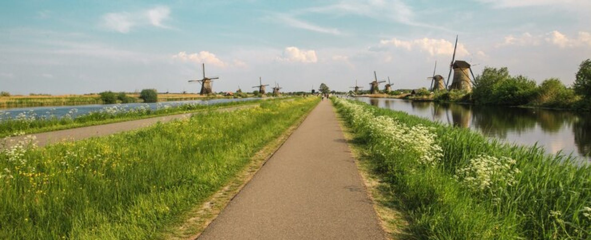 traditional-dutch-windmills-with-green-grass-foreground_155003-17049